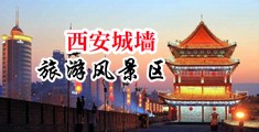 欠操欠欠操插爽中国陕西-西安城墙旅游风景区